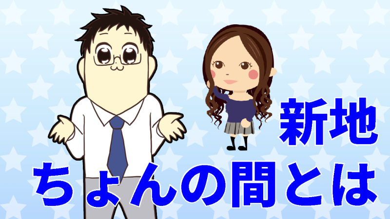 新地・ちょんの間とは